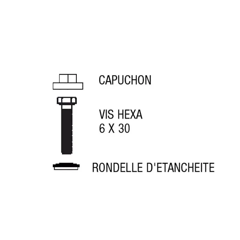 Image du produit KIT 50 VIS HEXA 16 MM BLANC de Polydis Plastiques - 1