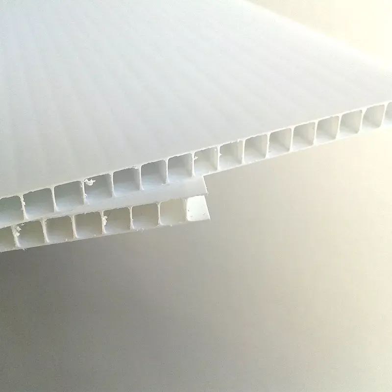 Image du produit PP ALVEOLAIRE BLANC 8 mm de Polydis Plastiques - 1