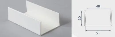 Image du produit PROFIL U EGALE 50 MM PAR 10 PCS 3ml de Polydis Plastiques - 1