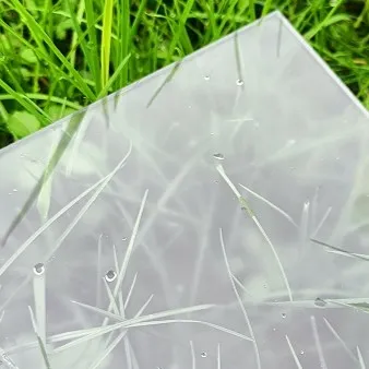 POLYCARBONATE COMPACT