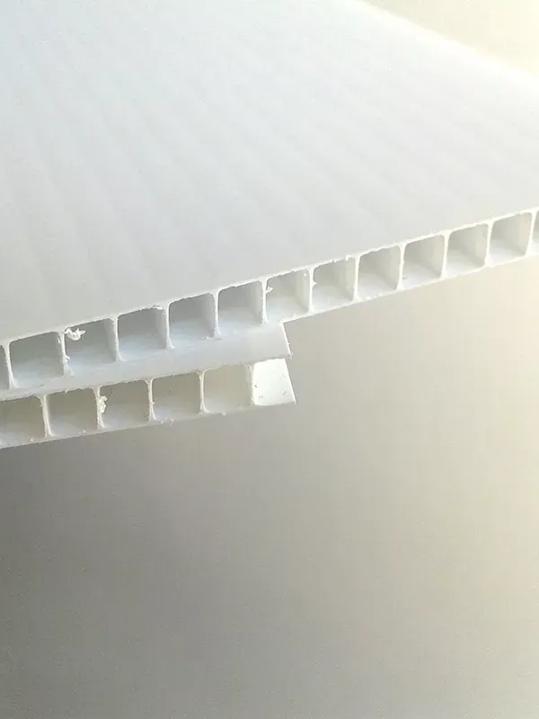 Image du produit PP ALVEOLAIRE BLANC 8 mm de Polydis Plastiques